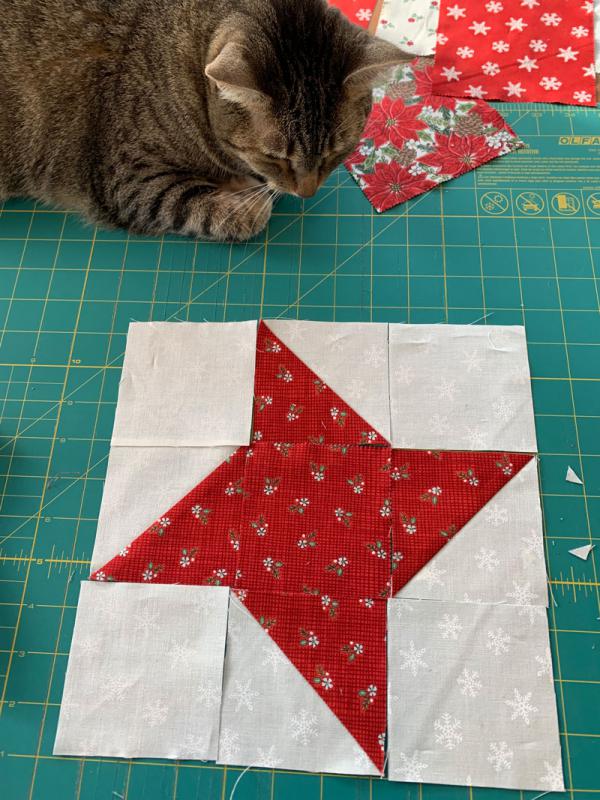 BH4 Friendship star-cat BH4 Friendship star-cat