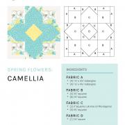mbs-spring-flowers_camellia_printer-friendly.jpg mbs-spring-flowers_camellia_printer-friendly.jpg